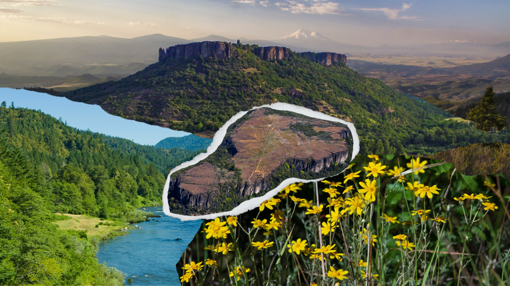 landscape collage of rogue valley